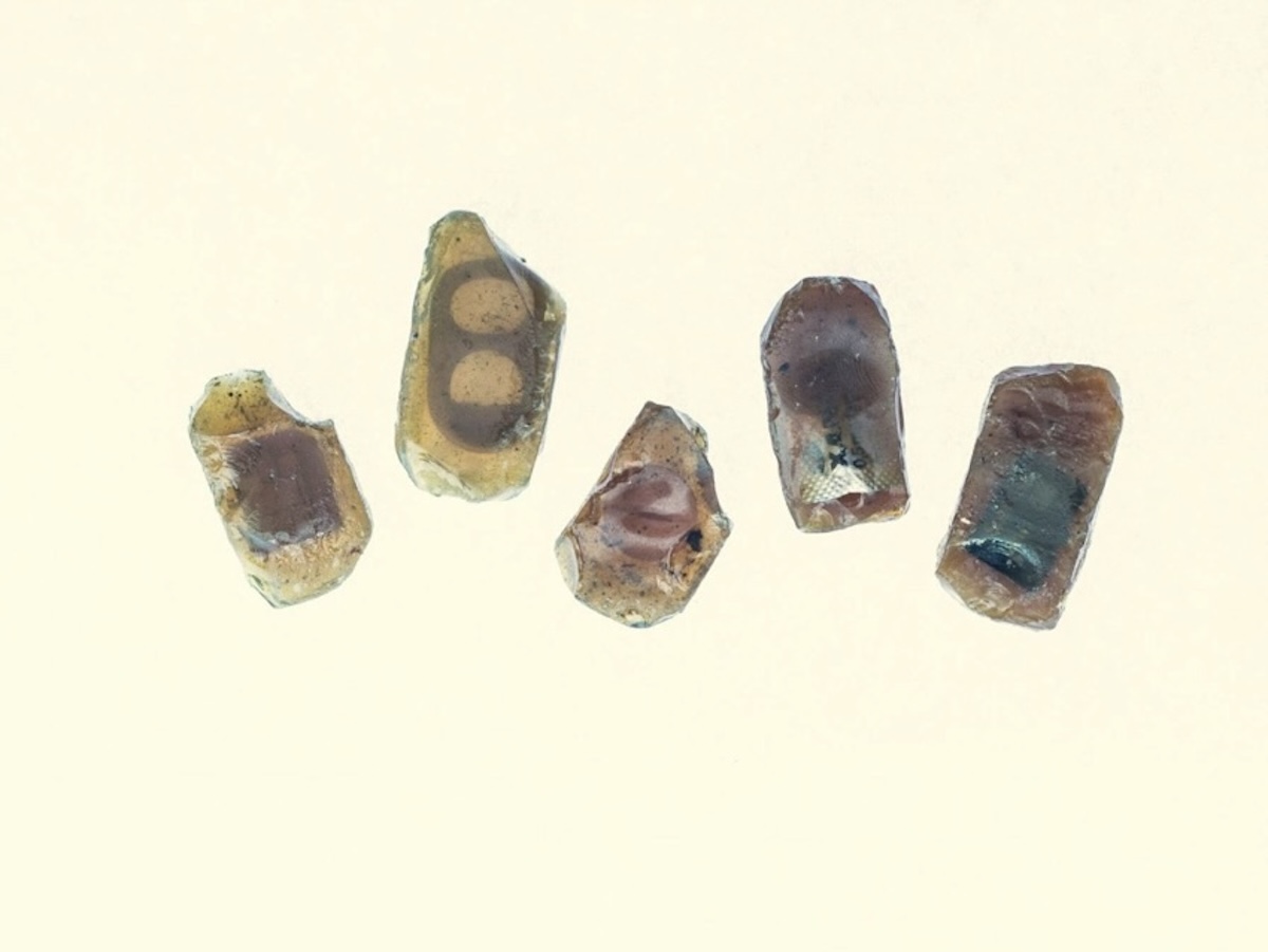 The Sticky Fingers: An amber-lab experiment with Jonas Landsbergis in Nida, Lithuania —
                        imagining what future amber might preserve.